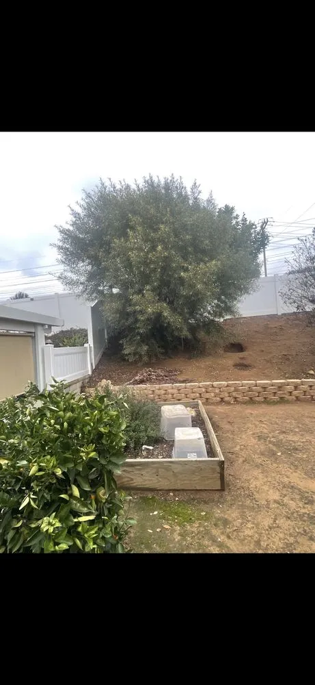 Top-rated outdoor landscaping in Hemet, CA - Hernandez Landscaping