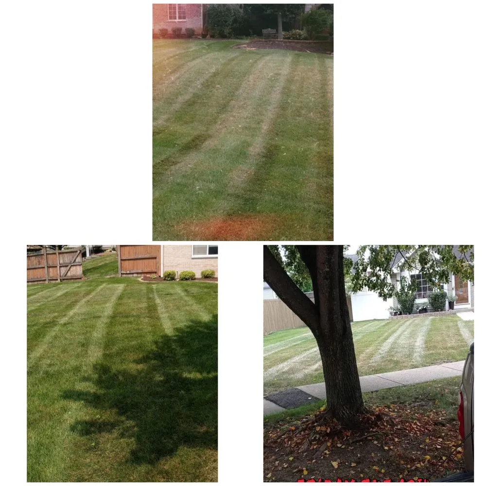 Reliable landscape installation experts serving Joliet, IL - Hernandez Landscaping