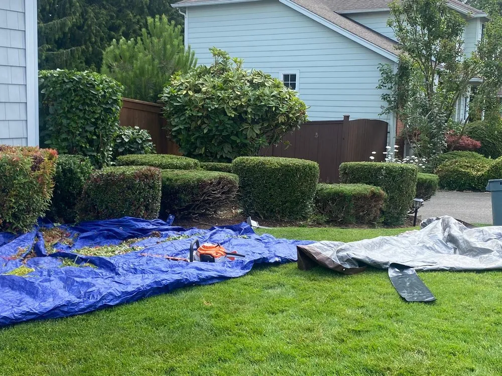 Professional landscaping services in Kent, WA by Hernandez Landscaping