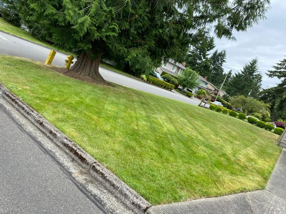 Expert lawn mowing service experts serving Kent, WA - Hernandez Landscaping