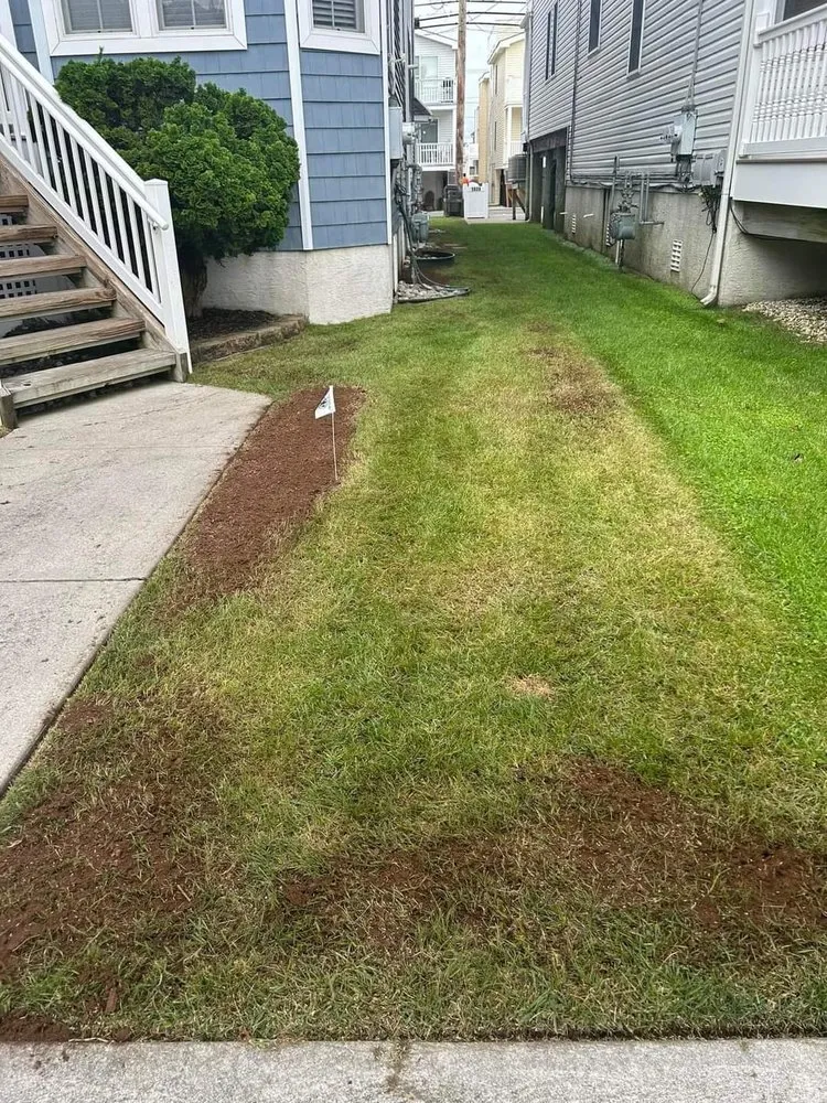 Reliable landscape design for year-round maintenance across Knightdale, NC - Hernandez Landscaping