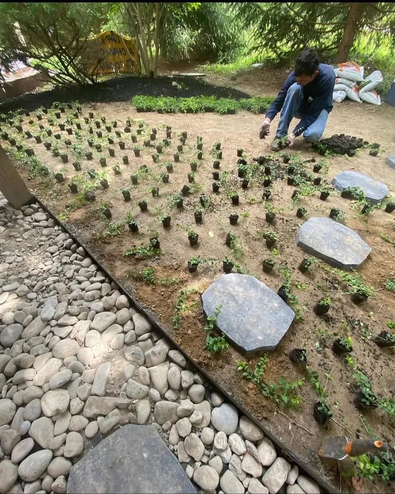 Reliable residential landscaping with custom design in Knightdale, NC by Hernandez Landscaping