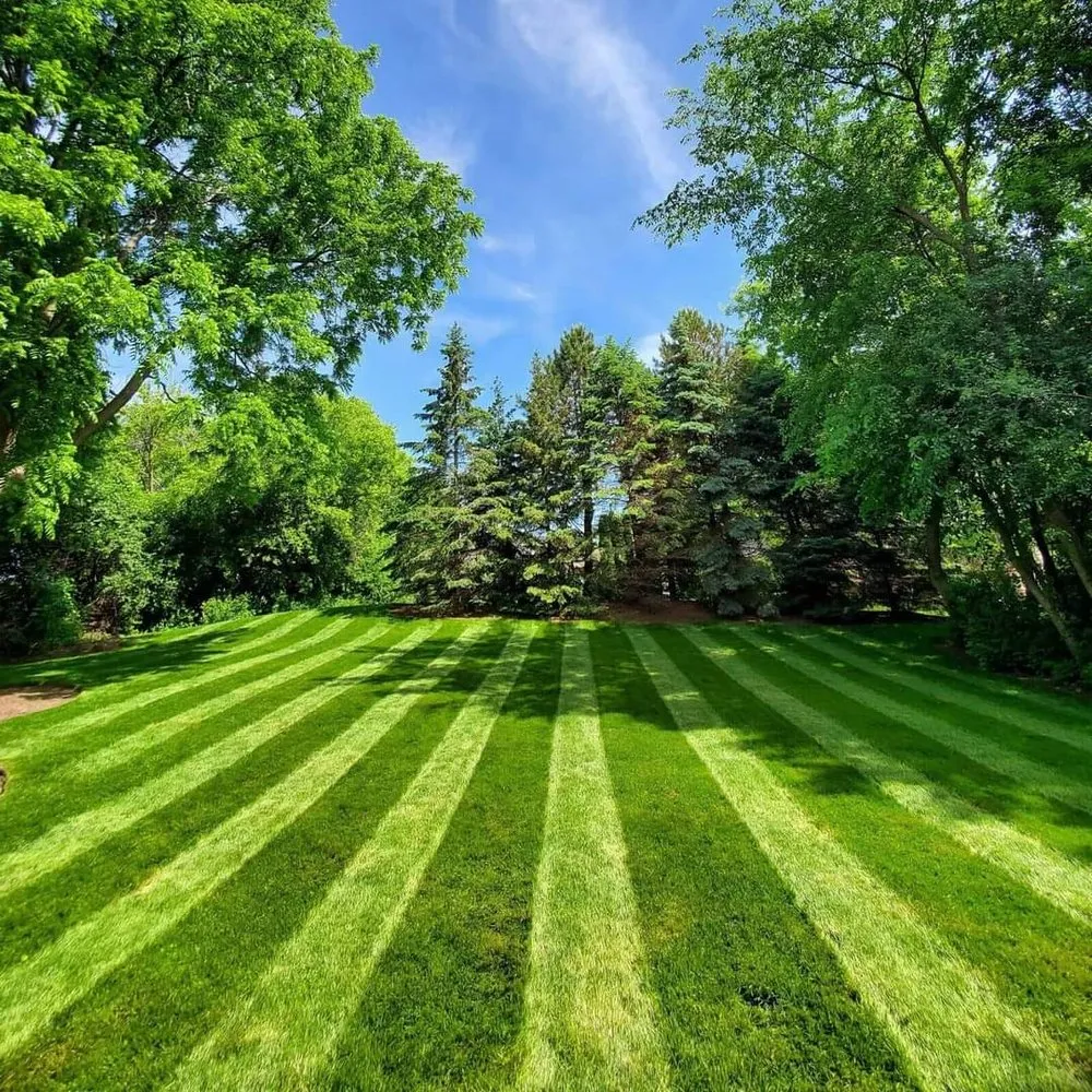 Reliable lawn mowing service for year-round maintenance across Knightdale, NC - Hernandez Landscaping