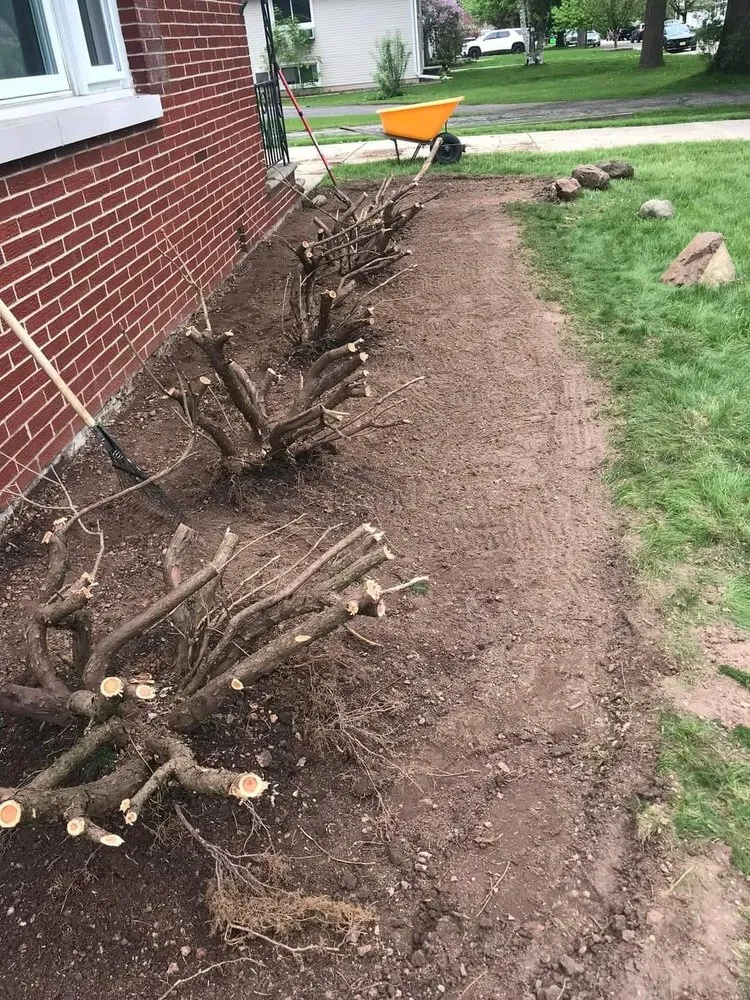 Professional yard cleanup service in Knightdale, NC by Hernandez Landscaping