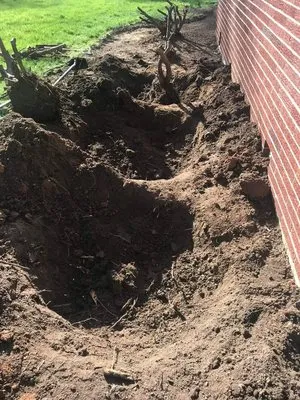 Hernandez Landscaping Logo