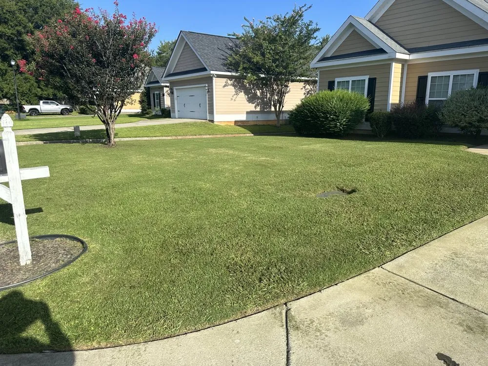 Reliable yard cleanup service for year-round maintenance in Macon, GA by Hernandez Landscaping