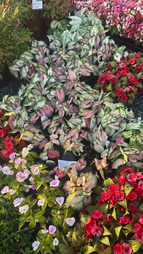 Trusted residential landscaping in Manassas, VA - Hernandez Landscaping