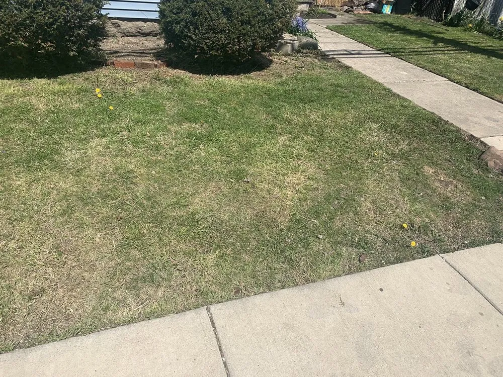 Expert outdoor landscaping in Marion, OH - Hernandez Landscaping