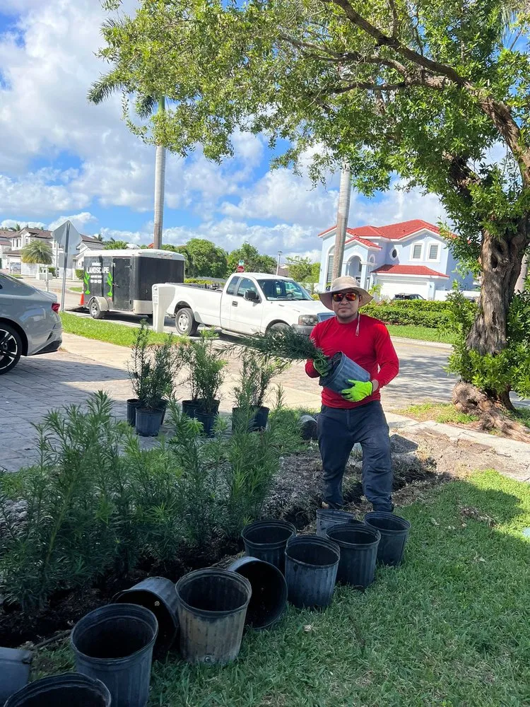 Affordable yard maintenance near you across Miami, FL - Hernandez Landscaping