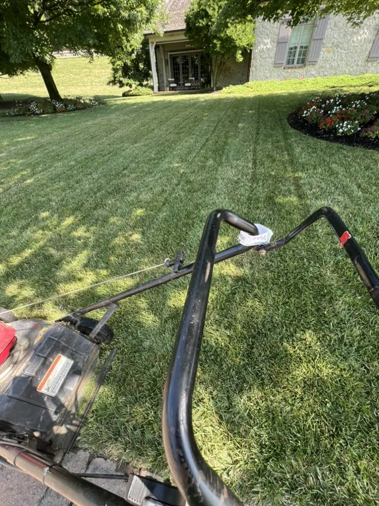 Affordable landscape installation experts serving Middle River, MD - Hernandez Landscaping