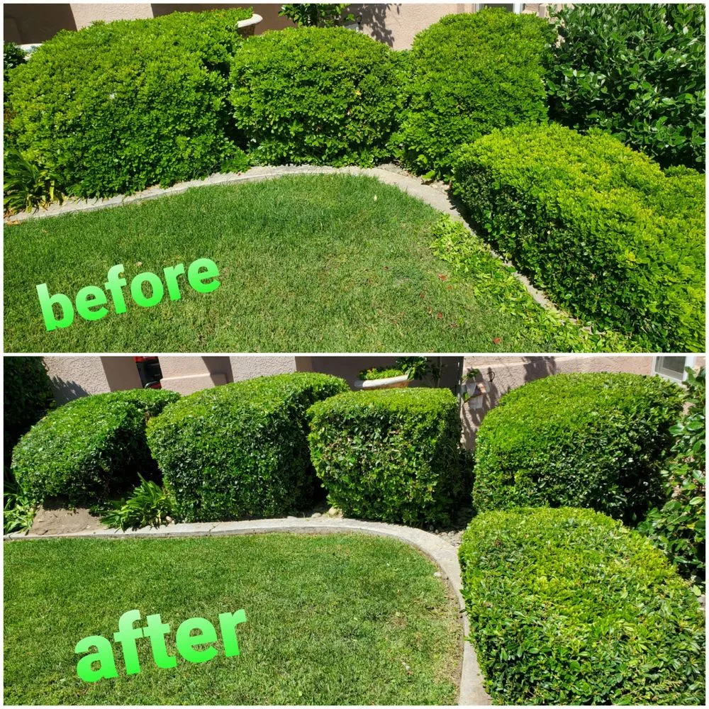 Reliable landscape design for residential properties in Oakdale, CA by Hernandez Landscaping