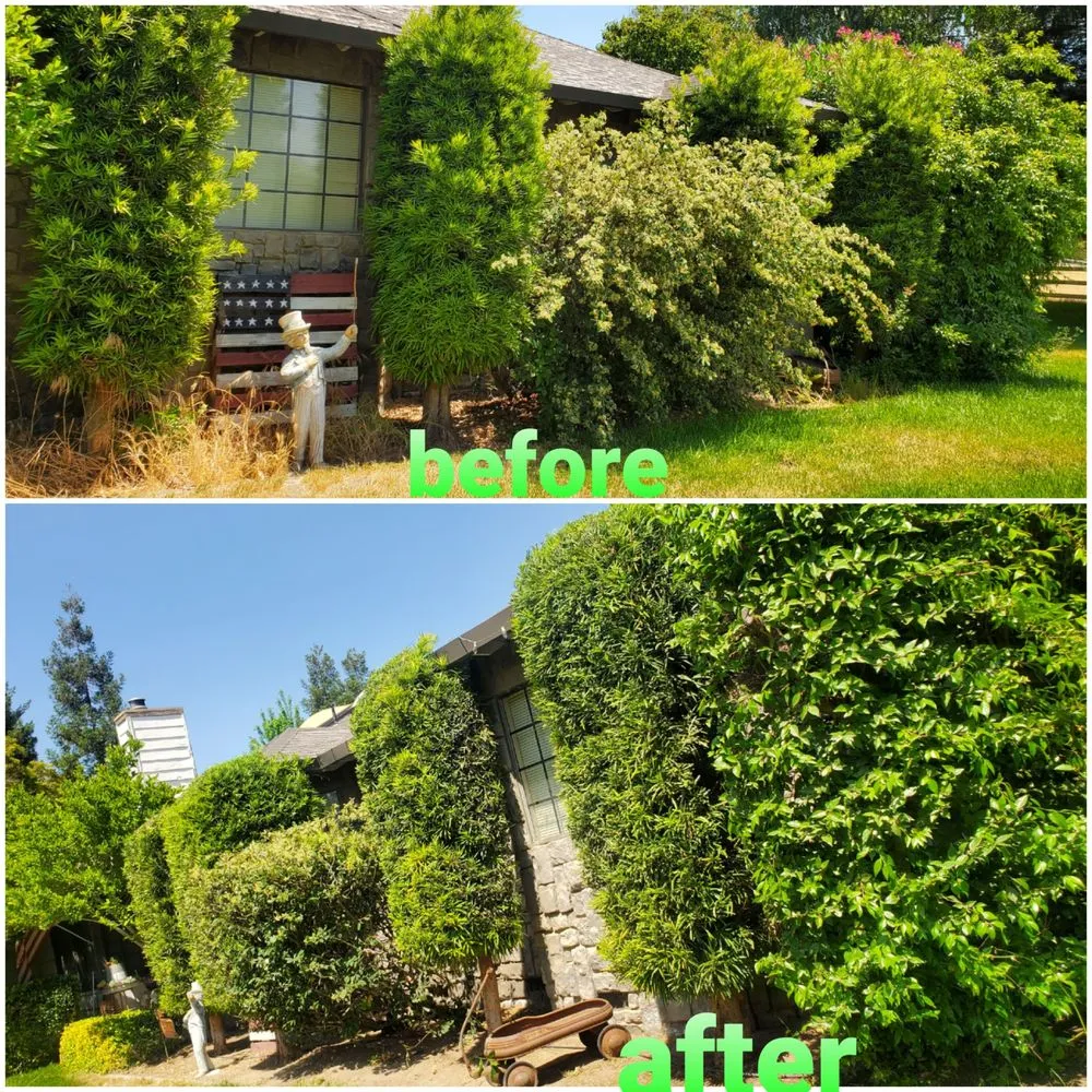 Trusted yard maintenance in Oakdale, CA by Hernandez Landscaping