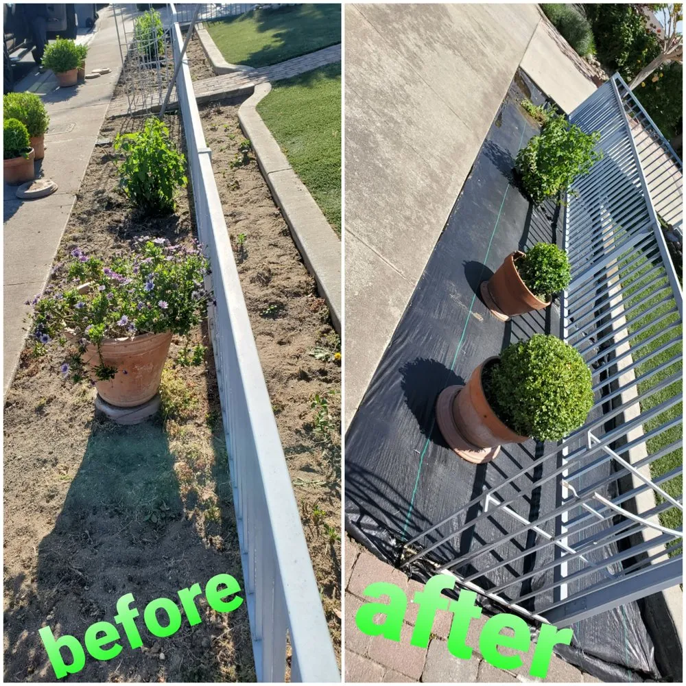 Local yard cleanup service in Oakdale, CA by Hernandez Landscaping