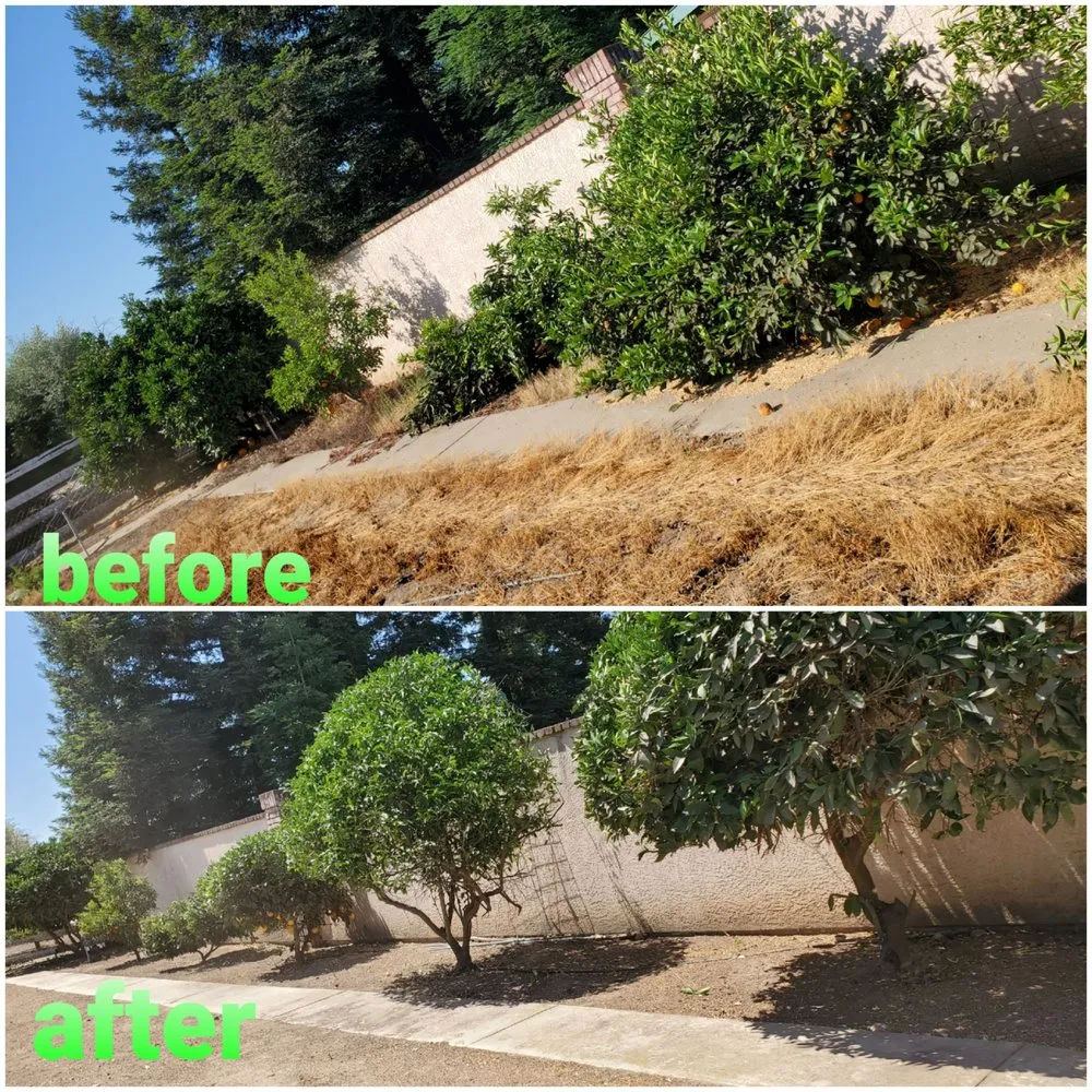 Local landscape design experts serving Oakdale, CA - Hernandez Landscaping