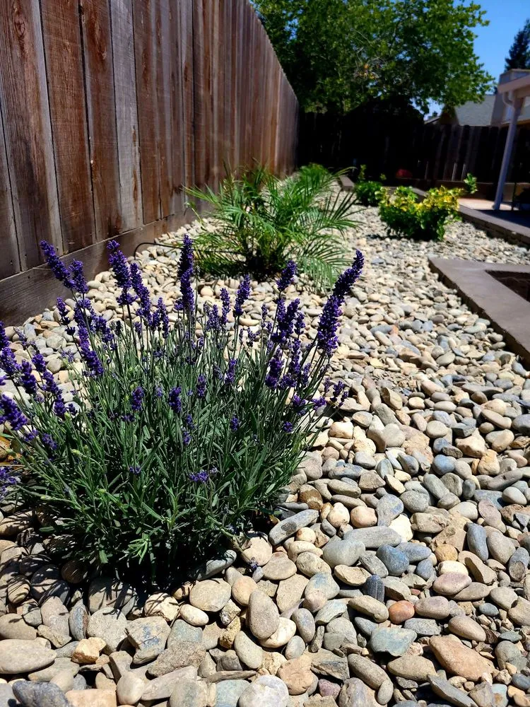 Affordable yard cleanup service in Oakdale, CA - Hernandez Landscaping