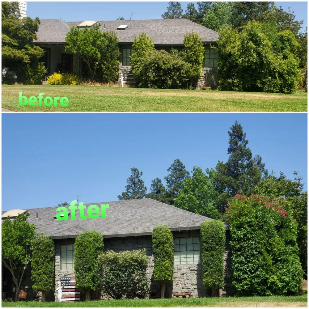 Custom landscape design in Oakdale, CA - Hernandez Landscaping