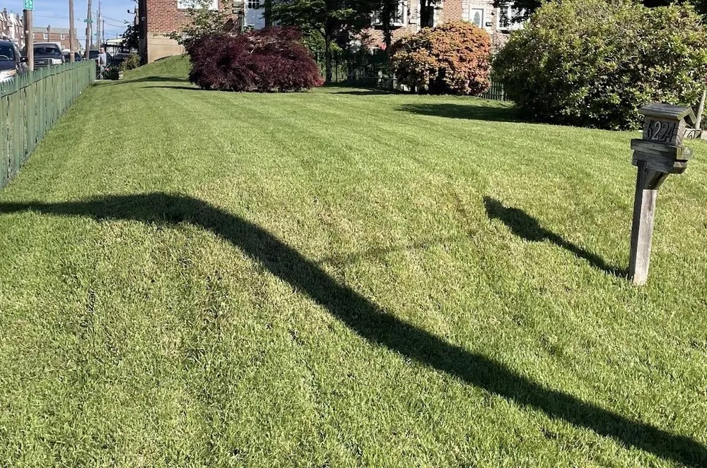 Top-rated outdoor landscaping in Philadelphia, PA - Hernandez Landscaping