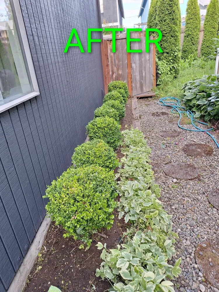 Expert residential landscaping for outdoor upgrades across Monroe, WA - Hernandez Landscaping Professional