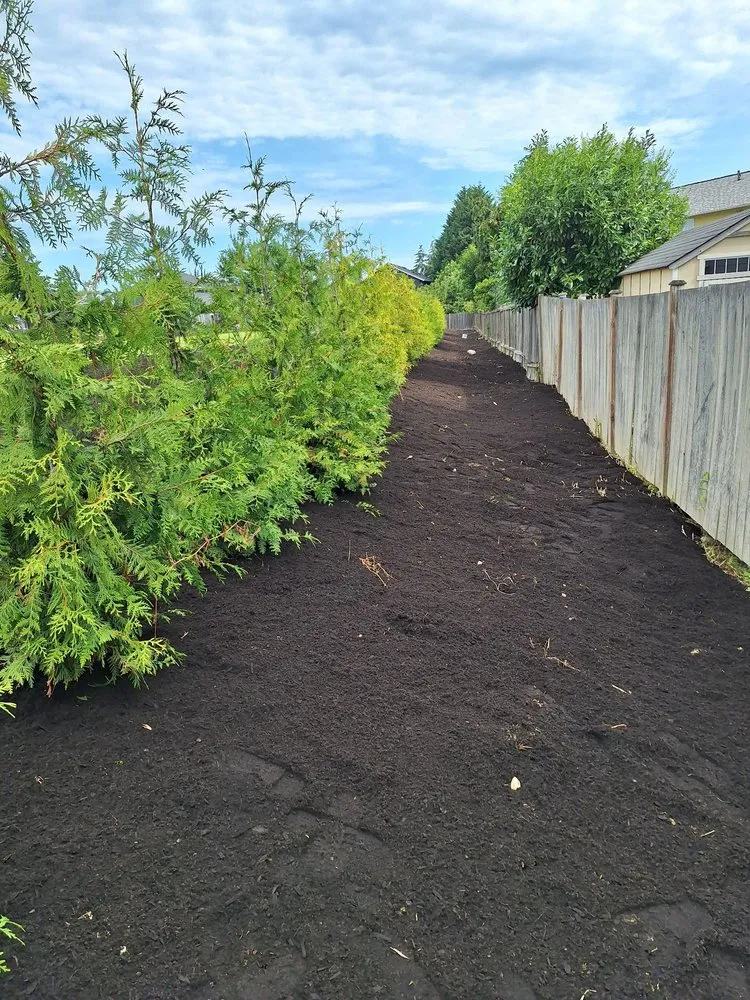 Local yard cleanup service for outdoor upgrades in Monroe, WA by Hernandez Landscaping Professional