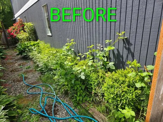 Hernandez Landscaping Professional Logo