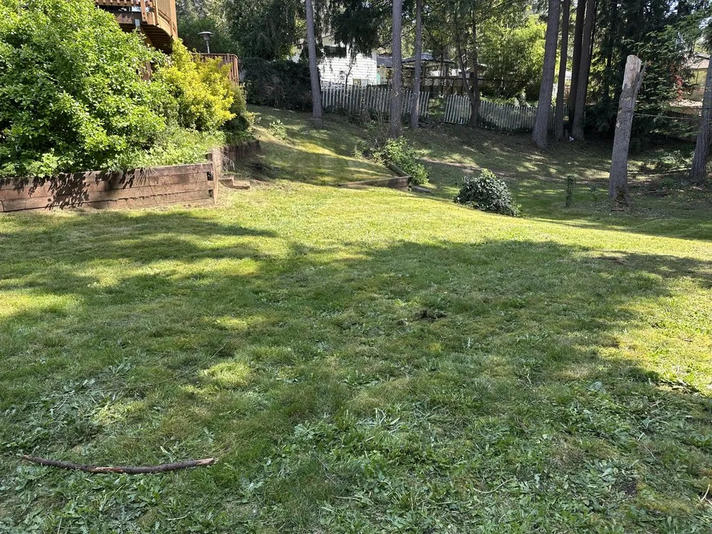 Professional lawn mowing service for residential properties across Renton, WA - Hernandez Landscaping