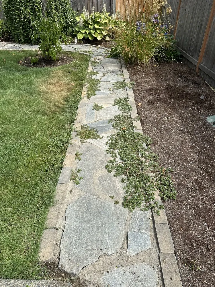 Professional landscaping services for residential properties across Renton, WA - Hernandez Landscaping