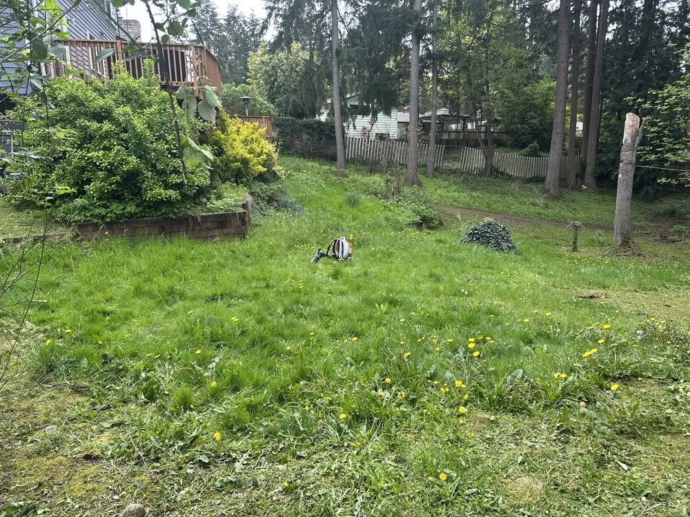 Trusted lawn mowing service in Renton, WA - Hernandez Landscaping