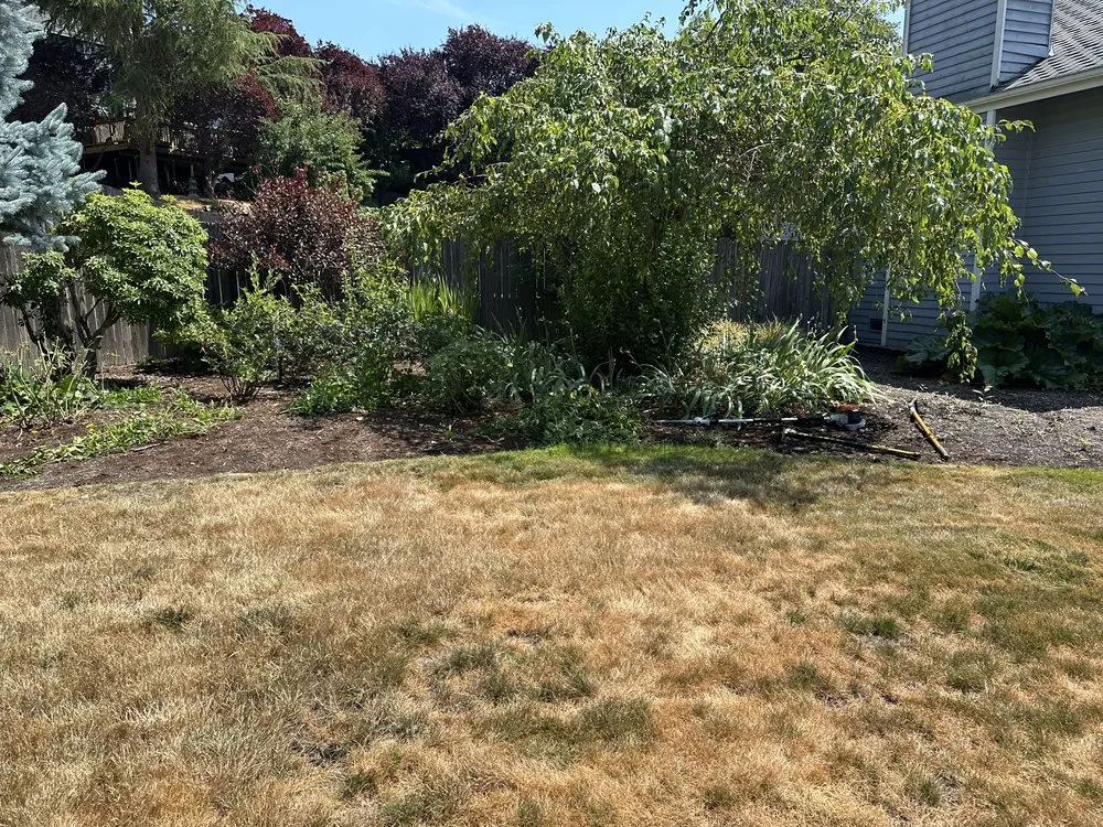 Local landscape installation for outdoor upgrades across Renton, WA - Hernandez Landscaping
