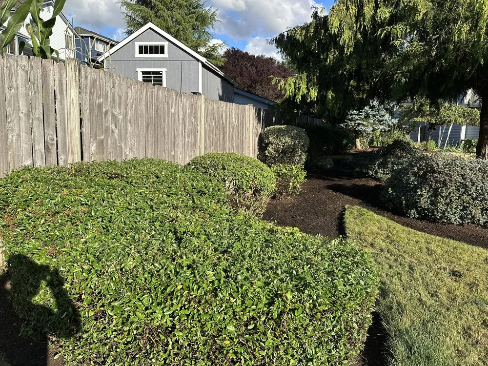 Reliable lawn care service in Renton, WA - Hernandez Landscaping