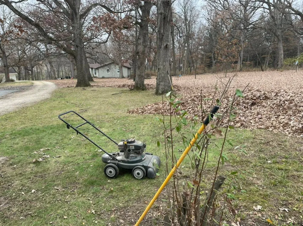 Reliable yard cleanup service experts serving Rochelle, IL - Hernandez Landscaping