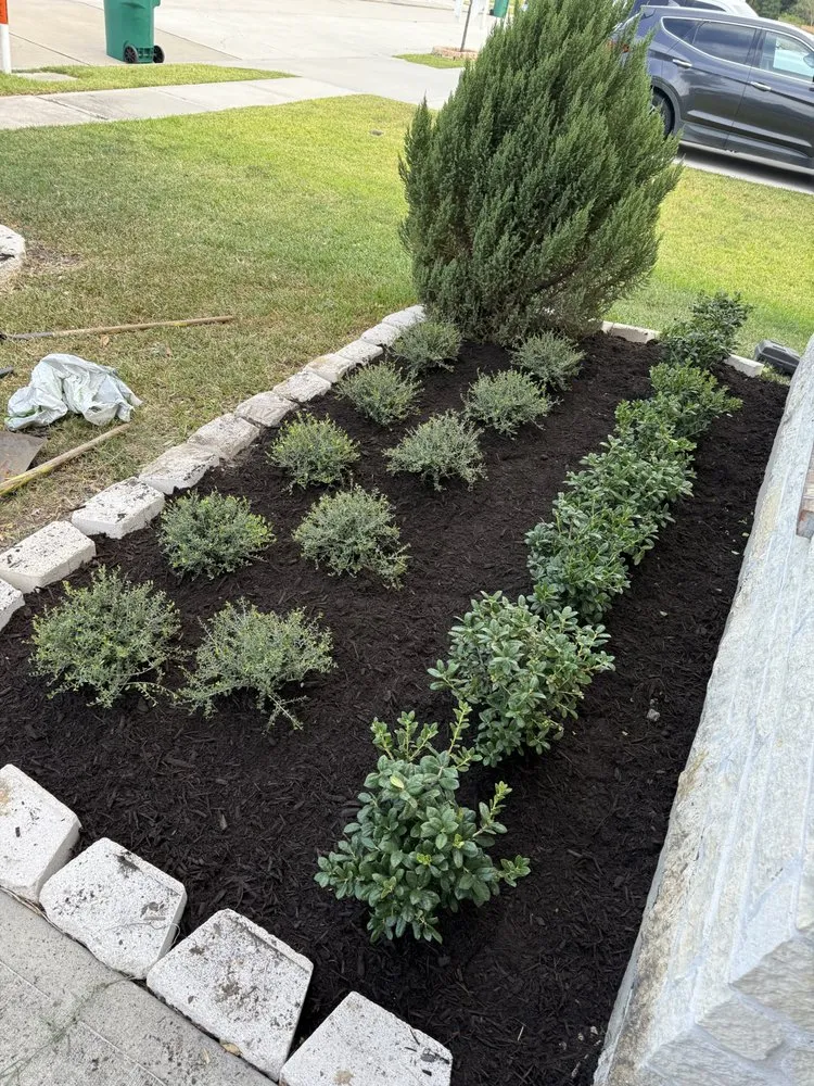 Custom landscaping services in Rosenberg, TX - Hernandez Landscaping