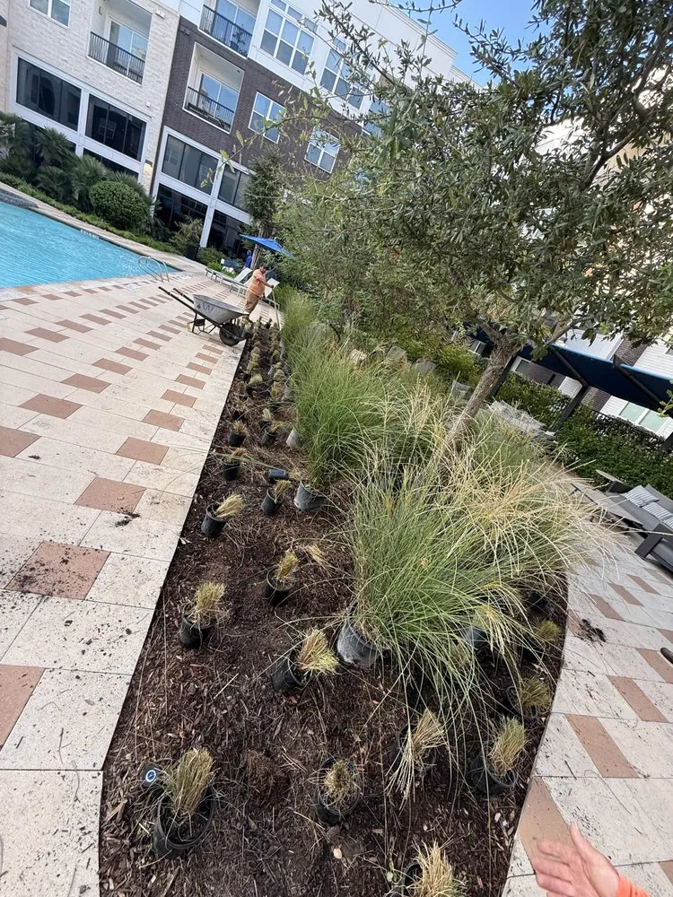 Trusted yard cleanup service for outdoor upgrades across Rosenberg, TX - Hernandez Landscaping