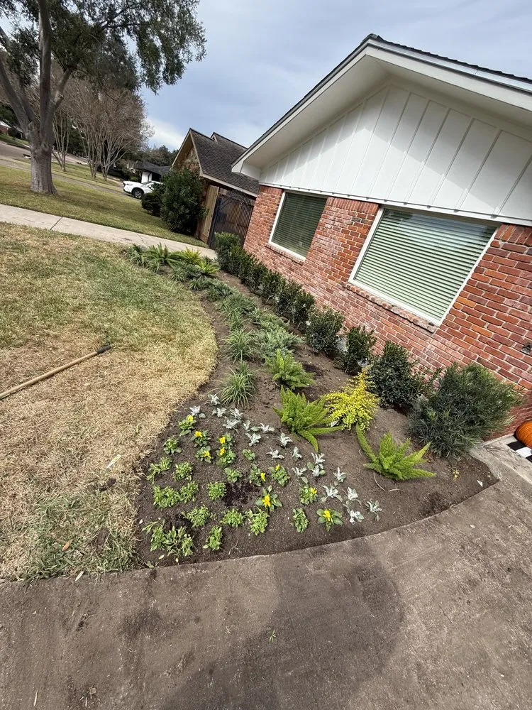 Top-rated yard maintenance experts serving Rosenberg, TX - Hernandez Landscaping
