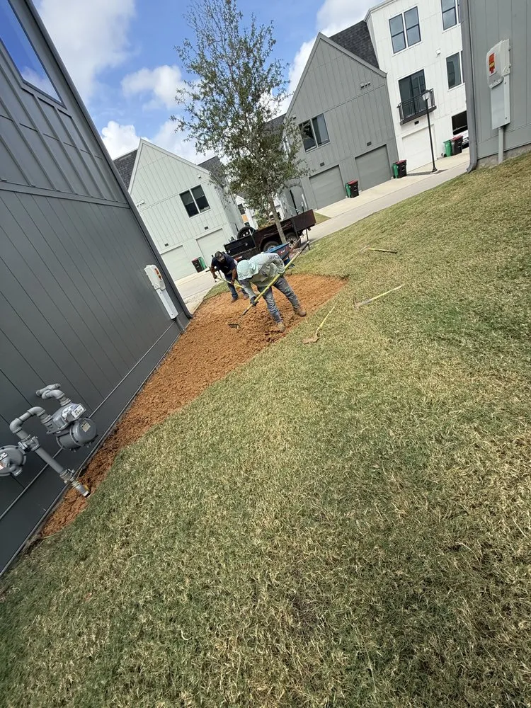 Local yard maintenance experts serving Rosenberg, TX - Hernandez Landscaping