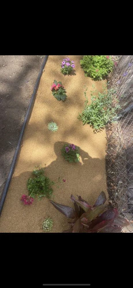 Reliable lawn care service near you across San Fernando Valley, CA - Hernandez Landscaping