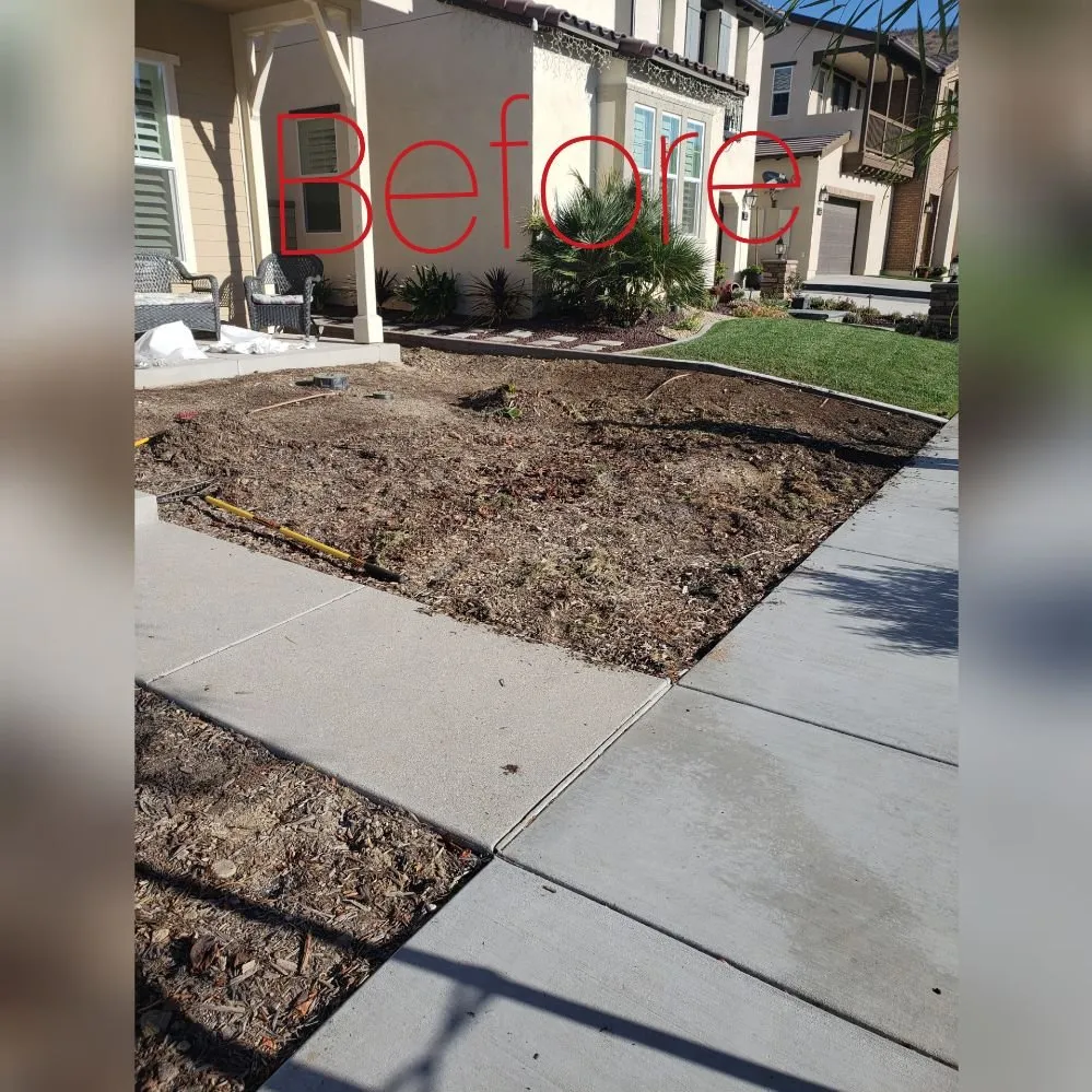 Custom lawn care service for beautiful yards across Santa Clarita, CA - Hernandez Landscaping