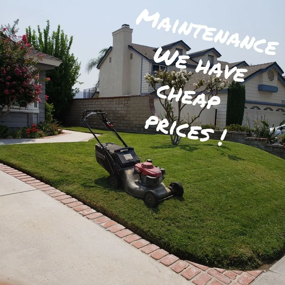 Professional landscaping services for outdoor upgrades in Santa Clarita, CA by Hernandez Landscaping