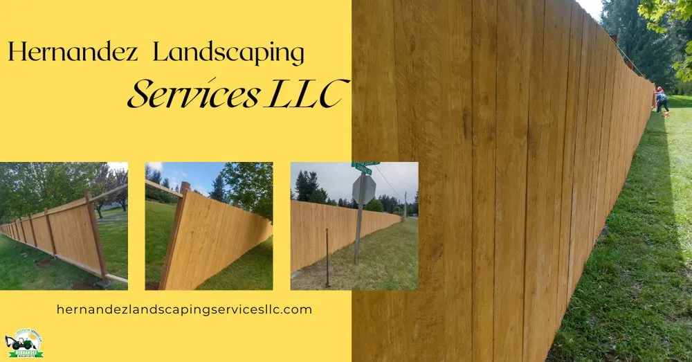 Affordable yard cleanup service in Lacey, WA by Hernandez Landscaping Services