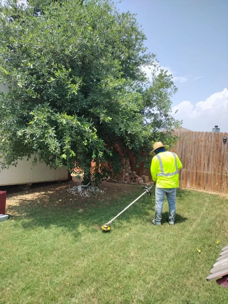 Expert yard cleanup service experts serving Little Elm, TX - Hernandez landscaping services