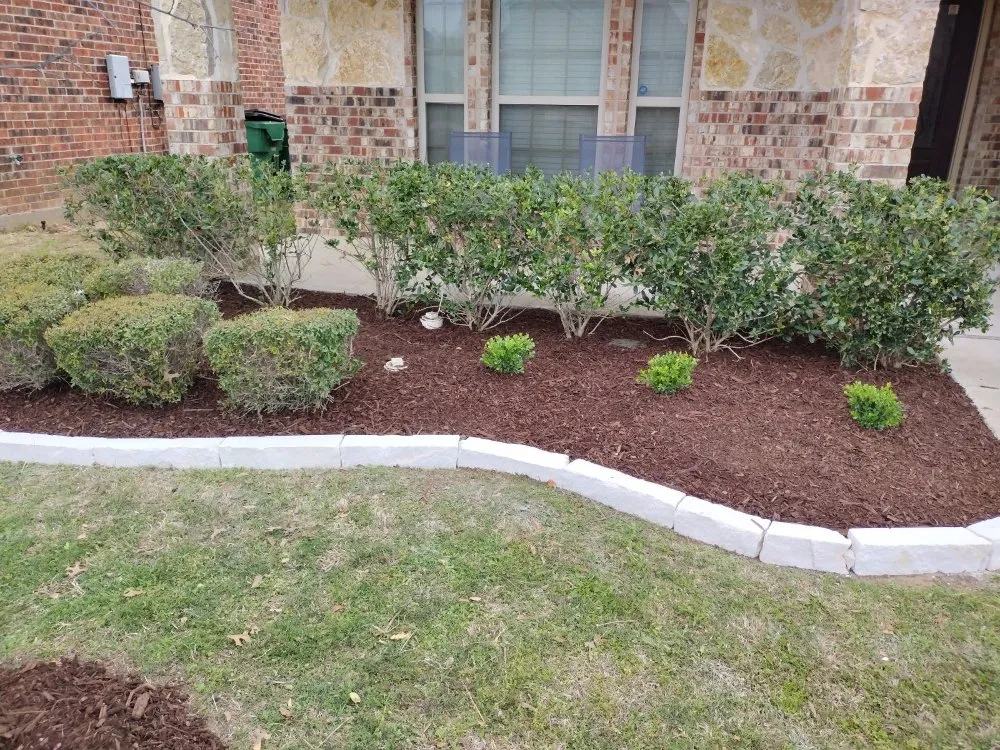 Trusted lawn mowing service in Little Elm, TX - Hernandez landscaping services