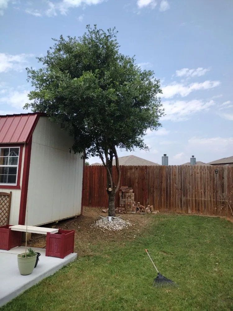 Reliable lawn mowing service in Little Elm, TX - Hernandez landscaping services