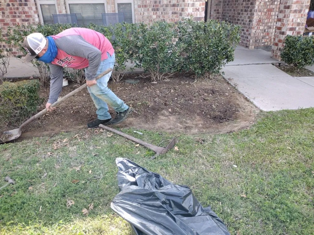 Local lawn care service experts serving Little Elm, TX - Hernandez landscaping services