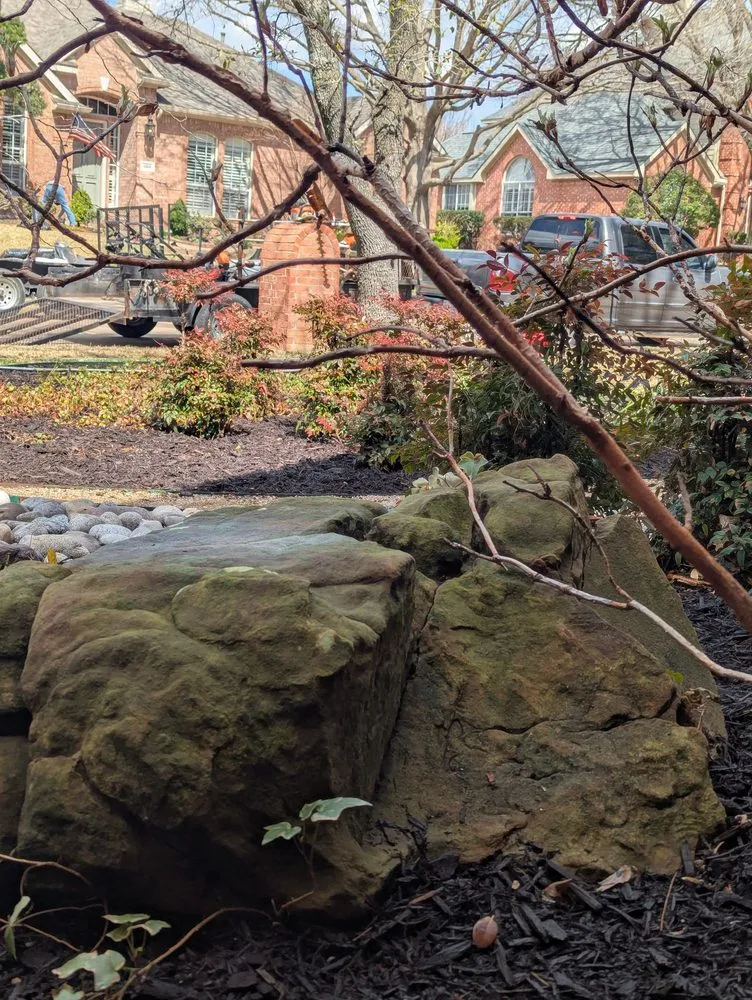 Professional yard cleanup service in Little Elm, TX by Hernandez landscaping services