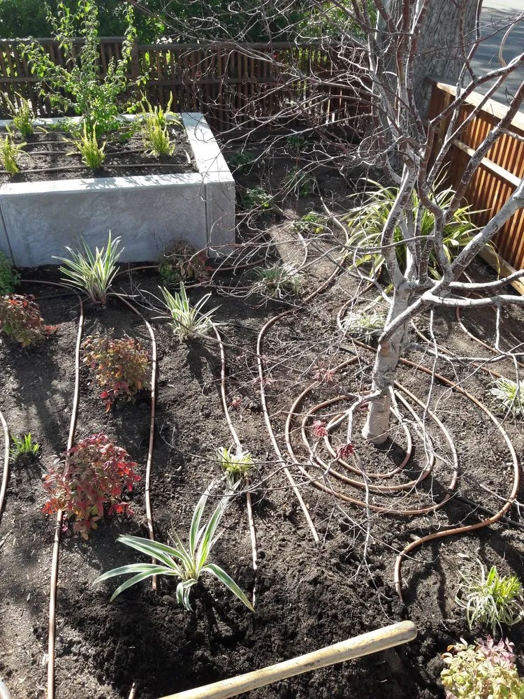 Professional lawn mowing service in Stockton, CA - Hernandez Landscaping