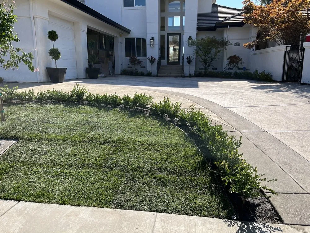 Custom lawn care service near you in Stockton, CA by Hernandez Landscaping