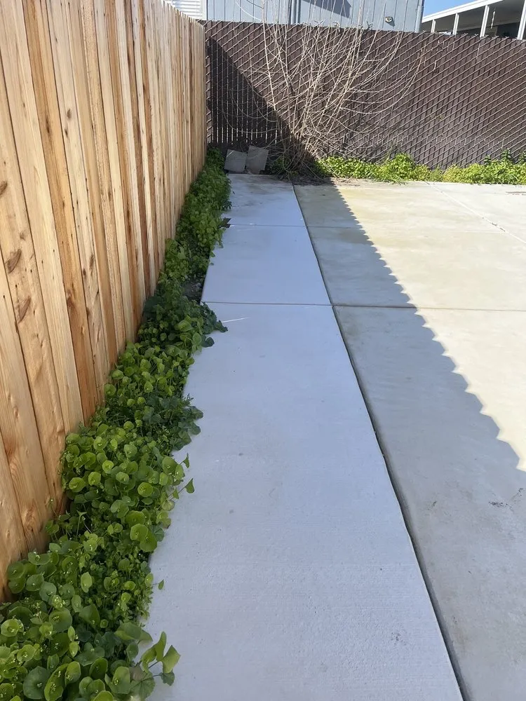 Trusted landscaping services in Stockton, CA by Hernandez Landscaping