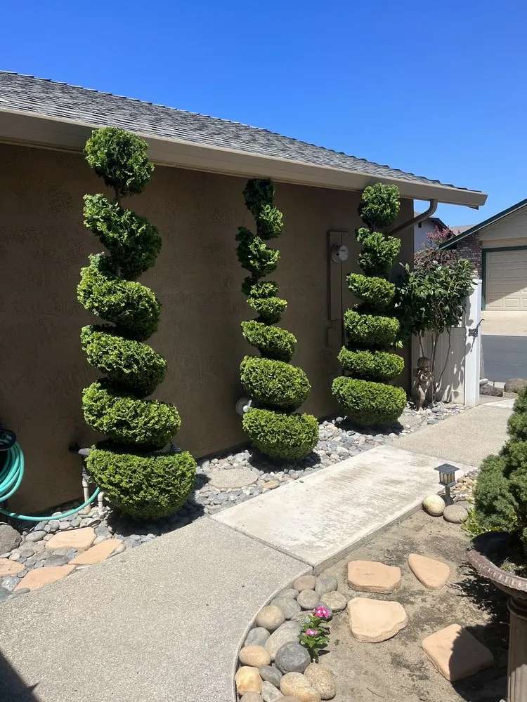 Expert landscape installation in Stockton, CA - Hernandez Landscaping