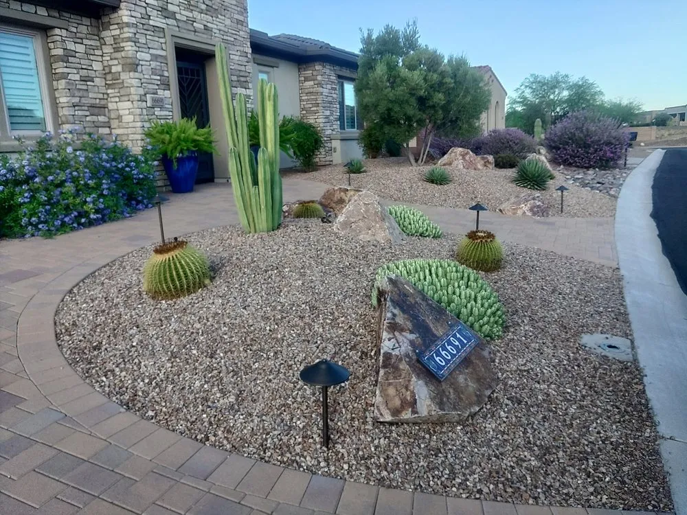 Top-rated yard cleanup service in Tucson, AZ by Hernandez Landscaping