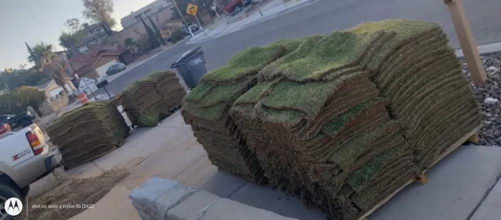 Trusted yard maintenance for homes across Vado, NM - Hernandez Landscaping