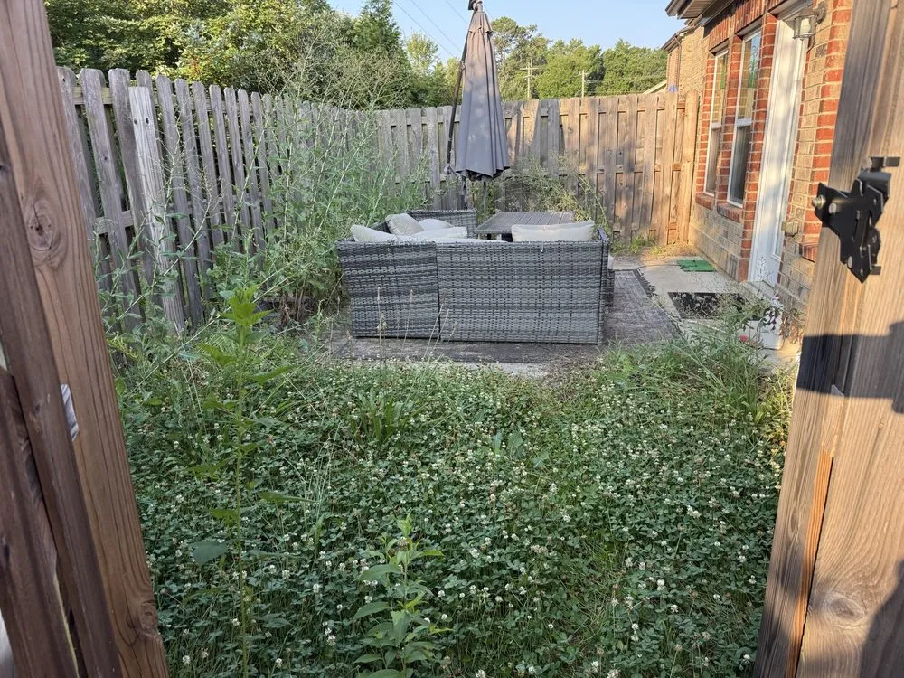 Professional yard cleanup service in Winston Salem, NC - Hernandez Landscaping